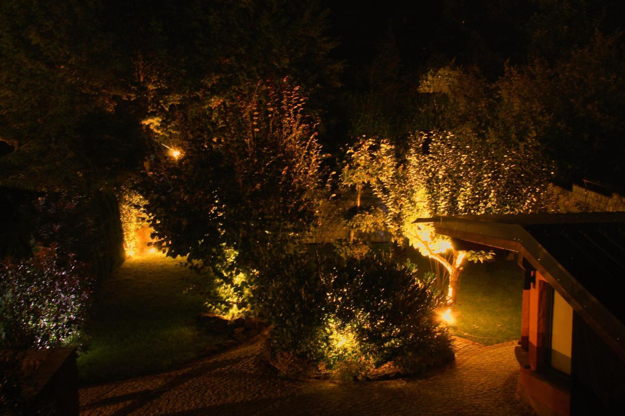 Ferienwohnung Altschloss Eppenbrunn Ngoại thất bức ảnh