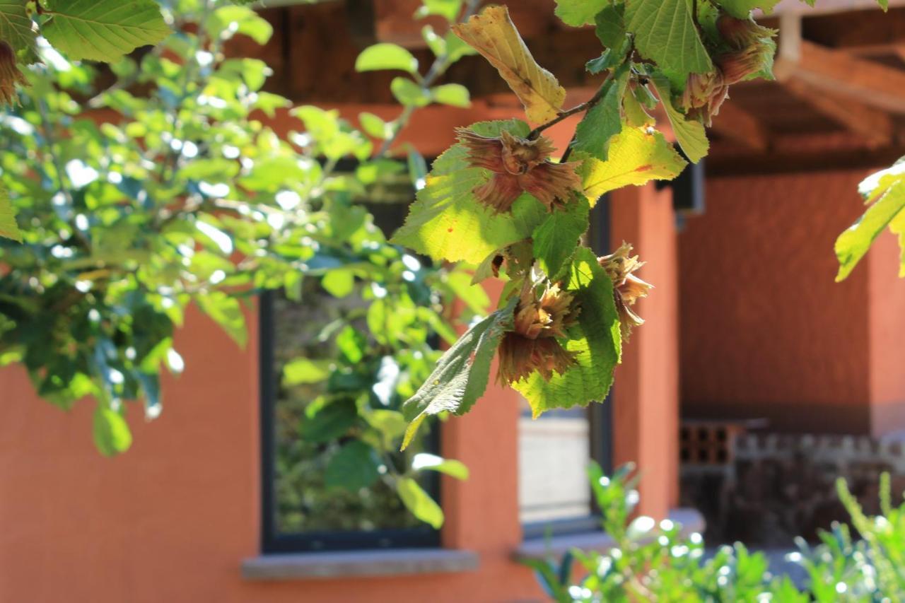 Ferienwohnung Altschloss Eppenbrunn Ngoại thất bức ảnh